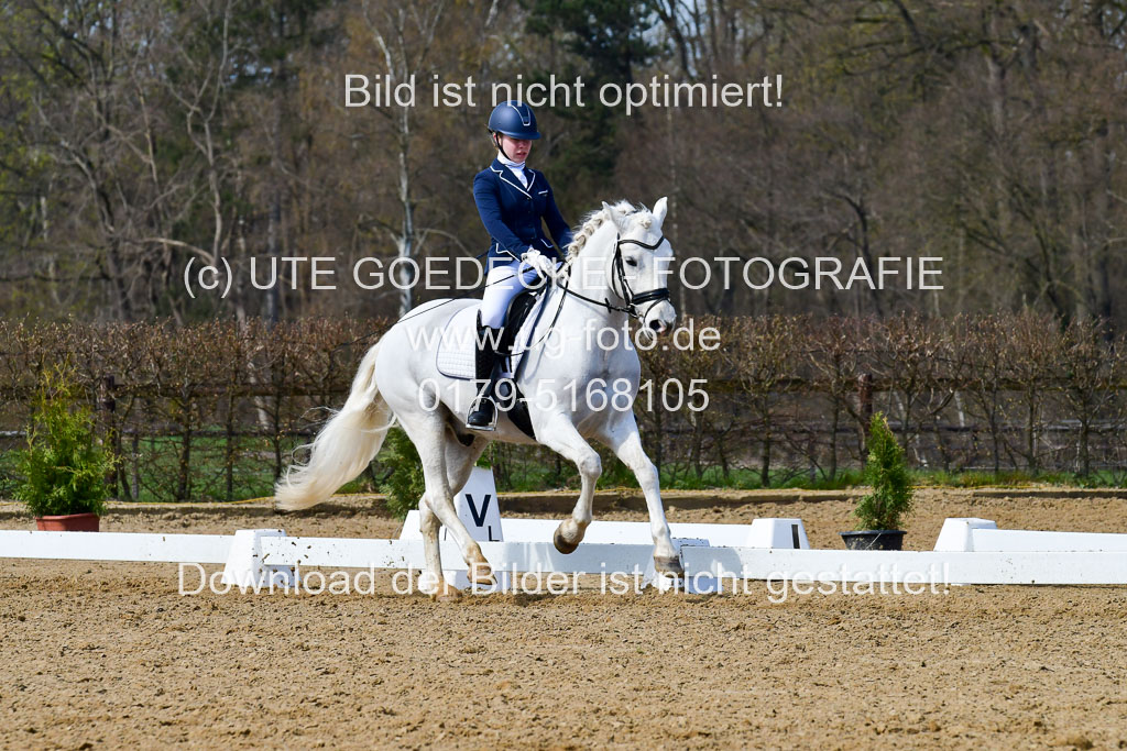 Reitsportzentrum Bremervörde | 10421 Dressur L Tr_500