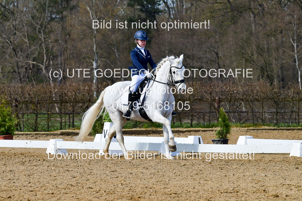 Reitsportzentrum Bremervörde | 10421 Dressur L Tr_501