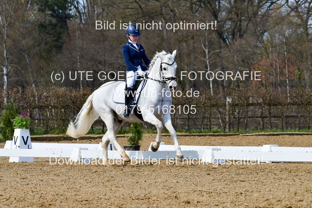 Reitsportzentrum Bremervörde | 10421 Dressur L Tr_502 