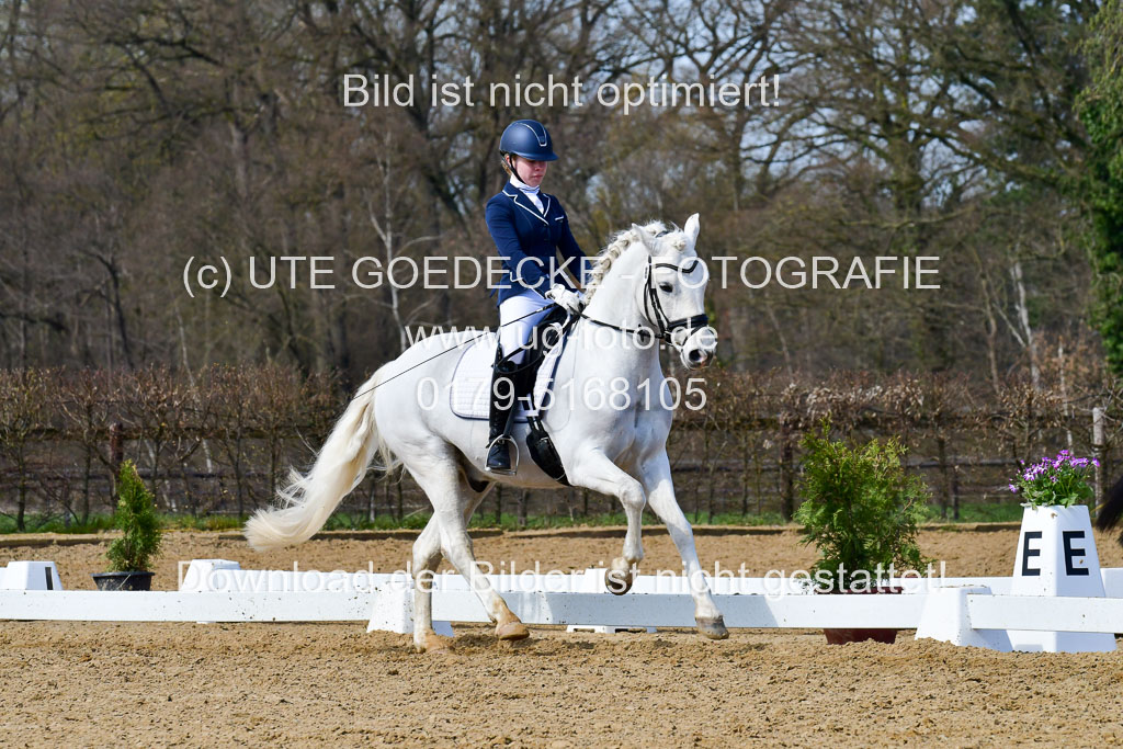 Reitsportzentrum Bremervörde | 10421 Dressur L Tr_503 