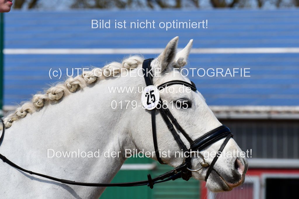 Reitsportzentrum Bremervörde | 10421 Dressur L Tr_509
