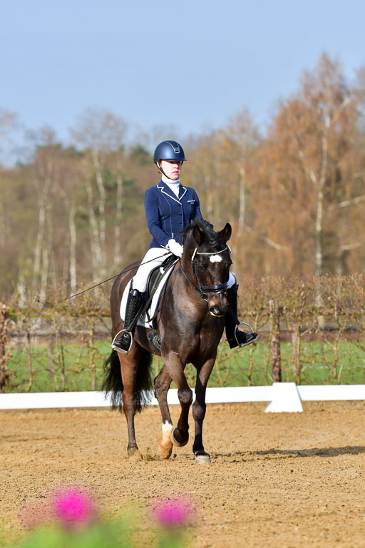 Reitsportzentrum Bremervörde | 10421 Dressur L Tr_001 