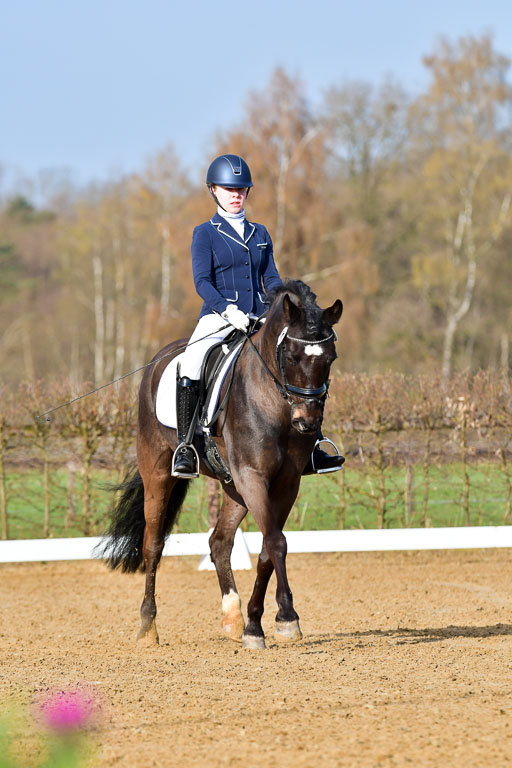 Reitsportzentrum Bremervörde | 10421 Dressur L Tr_002 