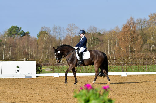 Reitsportzentrum Bremervörde | 10421 Dressur L Tr_005 