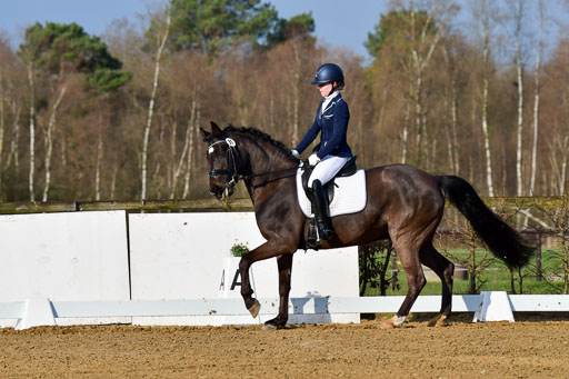 Reitsportzentrum Bremervörde | 10421 Dressur L Tr_006 