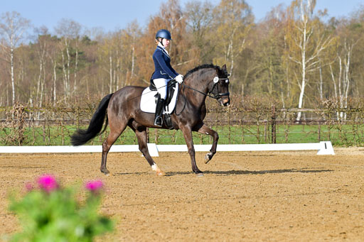 Reitsportzentrum Bremervörde | 10421 Dressur L Tr_007 