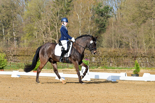 Reitsportzentrum Bremervörde | 10421 Dressur L Tr_008 