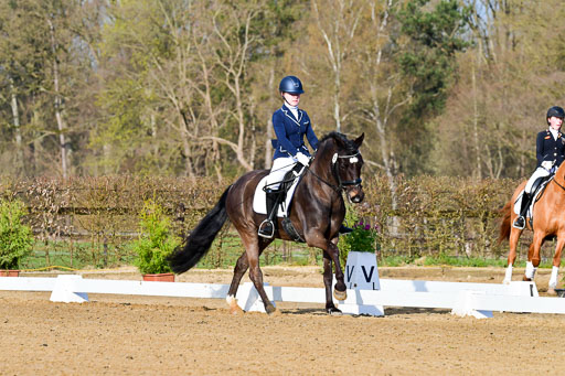 Reitsportzentrum Bremervörde | 10421 Dressur L Tr_009 