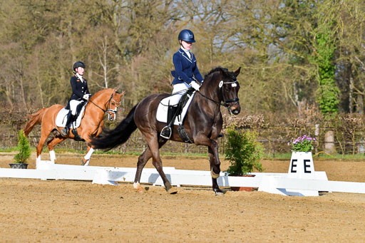 Reitsportzentrum Bremervörde | 10421 Dressur L Tr_010 