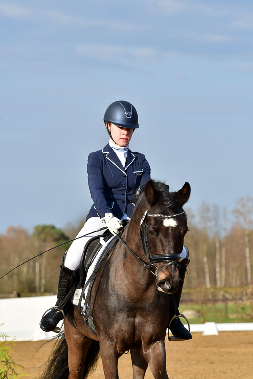 Reitsportzentrum Bremervörde | 10421 Dressur L Tr_012 