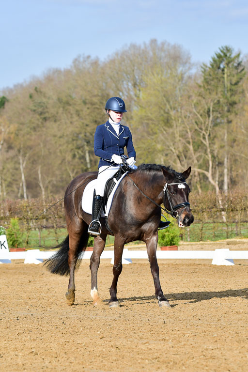 Reitsportzentrum Bremervörde | 10421 Dressur L Tr_014 