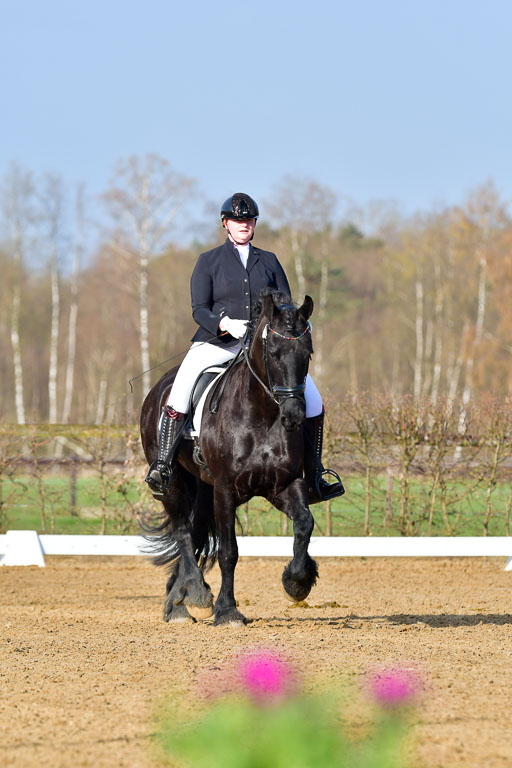 Reitsportzentrum Bremervörde | 10421 Dressur L Tr_016 