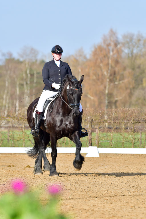 Reitsportzentrum Bremervörde | 10421 Dressur L Tr_017 