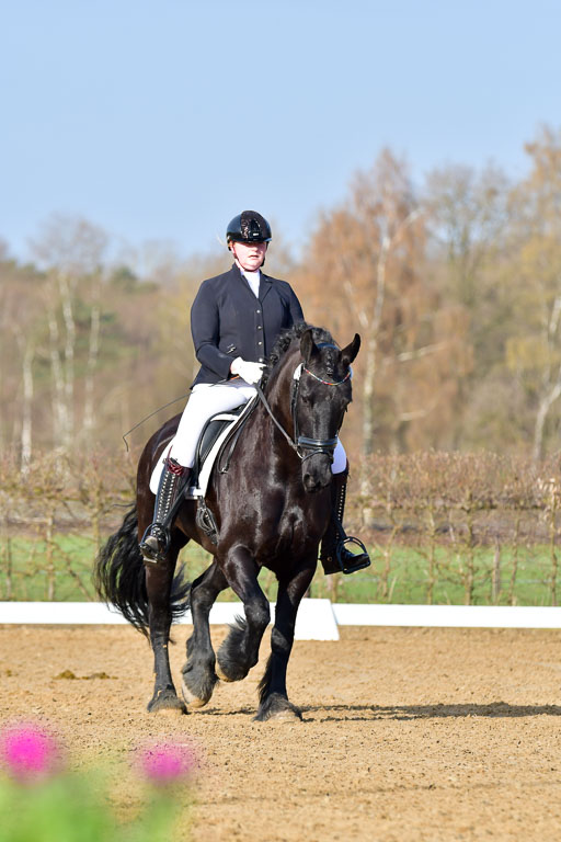 Reitsportzentrum Bremervörde | 10421 Dressur L Tr_018 