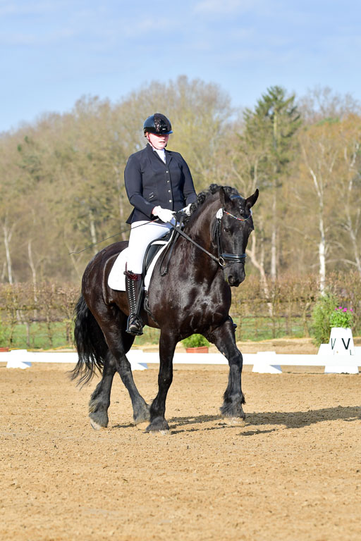 Reitsportzentrum Bremervörde | 10421 Dressur L Tr_020 