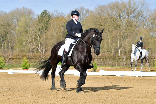 Reitsportzentrum Bremervörde | 10421 Dressur L Tr_022 