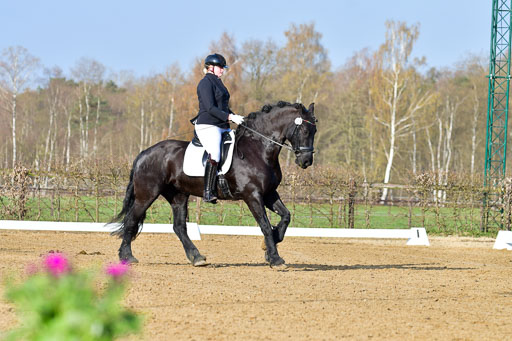 Reitsportzentrum Bremervörde | 10421 Dressur L Tr_024 