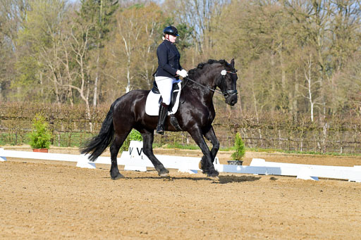 Reitsportzentrum Bremervörde | 10421 Dressur L Tr_025 