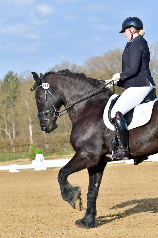 Reitsportzentrum Bremervörde | 10421 Dressur L Tr_026 