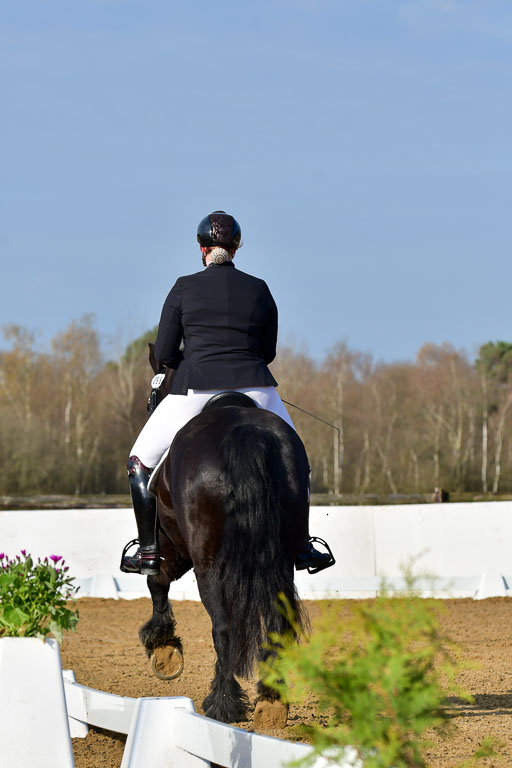 Reitsportzentrum Bremervörde | 10421 Dressur L Tr_028 