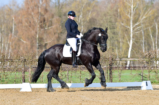 Reitsportzentrum Bremervörde | 10421 Dressur L Tr_029 