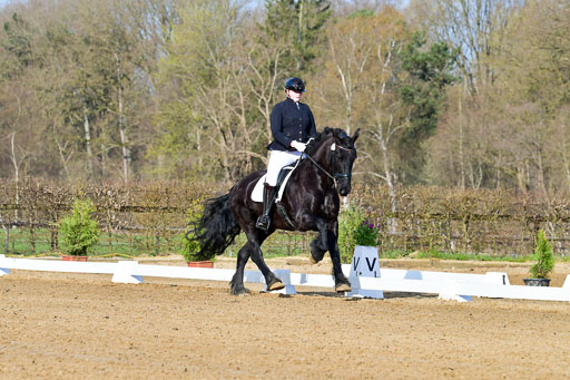 Reitsportzentrum Bremervörde | 10421 Dressur L Tr_030 