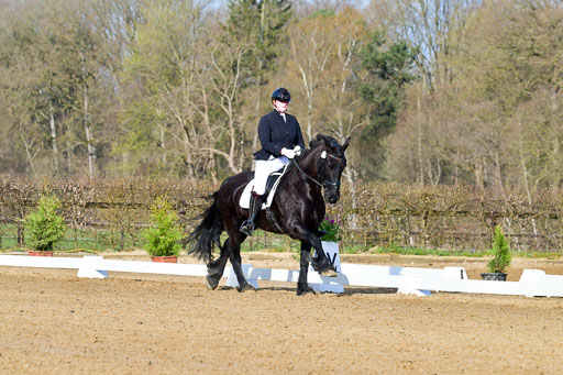 Reitsportzentrum Bremervörde | 10421 Dressur L Tr_031 