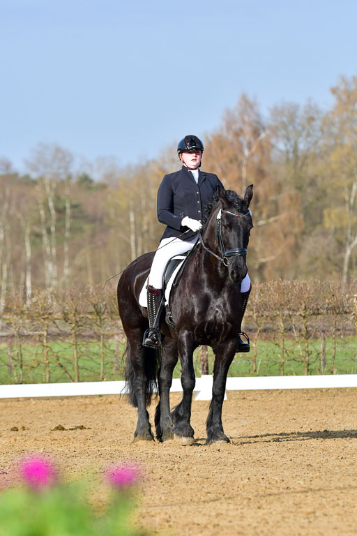 Reitsportzentrum Bremervörde | 10421 Dressur L Tr_034 