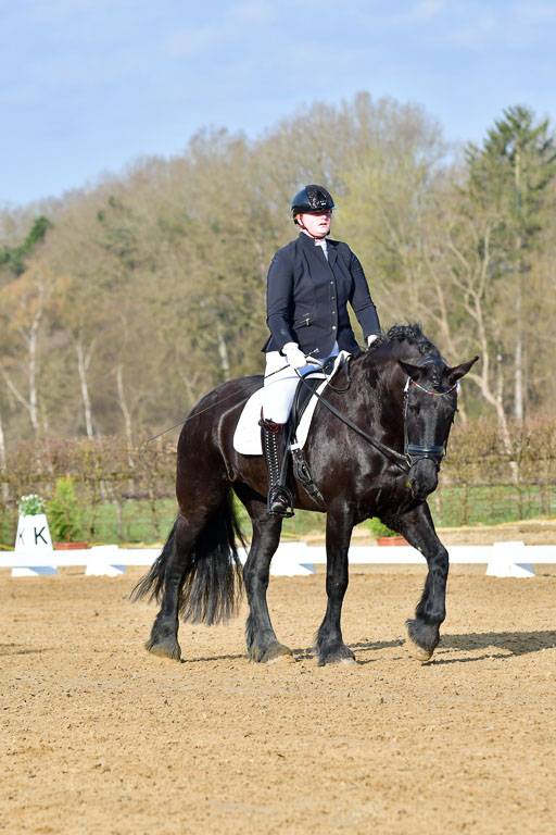 Reitsportzentrum Bremervörde | 10421 Dressur L Tr_035 