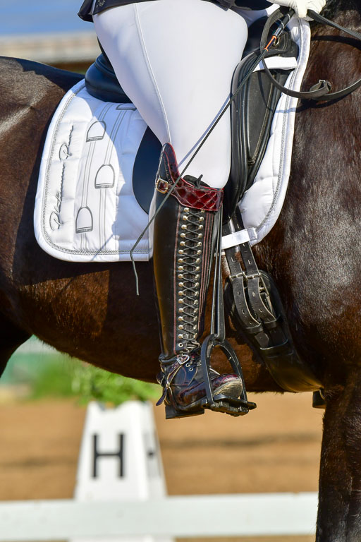 Reitsportzentrum Bremervörde | 10421 Dressur L Tr_036 