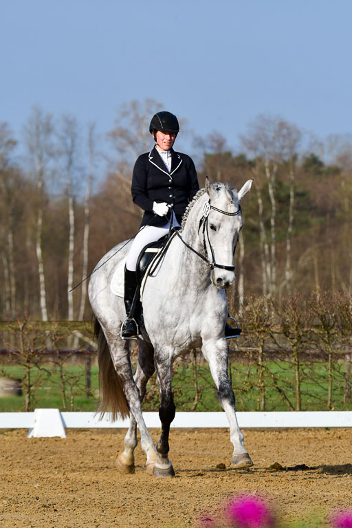 Reitsportzentrum Bremervörde | 10421 Dressur L Tr_038 