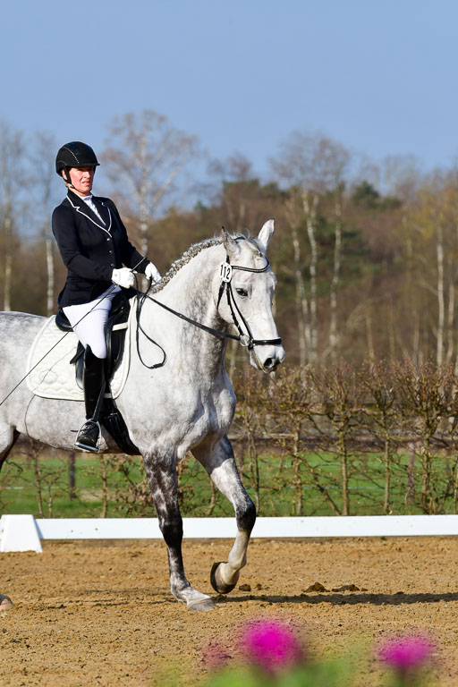 Reitsportzentrum Bremervörde | 10421 Dressur L Tr_041 