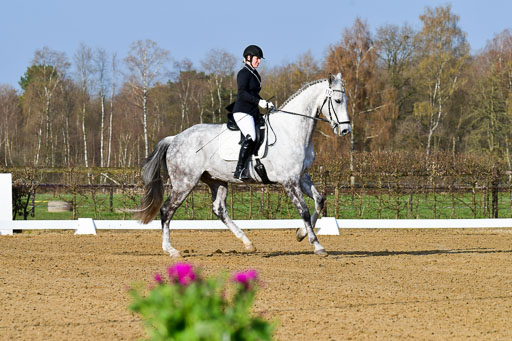 Reitsportzentrum Bremervörde | 10421 Dressur L Tr_042 