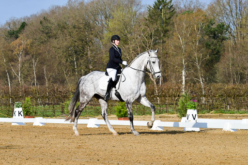 Reitsportzentrum Bremervörde | 10421 Dressur L Tr_043 