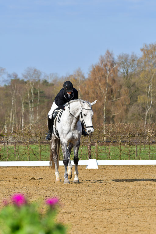 Reitsportzentrum Bremervörde | 10421 Dressur L Tr_050 