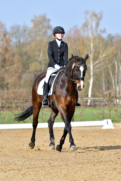 Reitsportzentrum Bremervörde | 10421 Dressur L Tr_053 