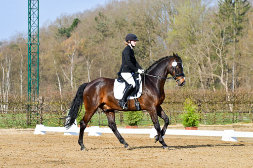 Reitsportzentrum Bremervörde | 10421 Dressur L Tr_056 