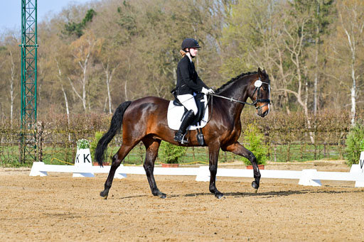 Reitsportzentrum Bremervörde | 10421 Dressur L Tr_057 