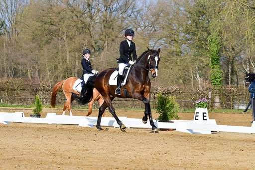 Reitsportzentrum Bremervörde | 10421 Dressur L Tr_059 