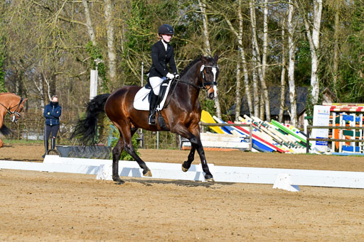 Reitsportzentrum Bremervörde | 10421 Dressur L Tr_060 