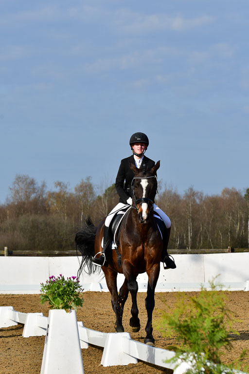 Reitsportzentrum Bremervörde | 10421 Dressur L Tr_061 