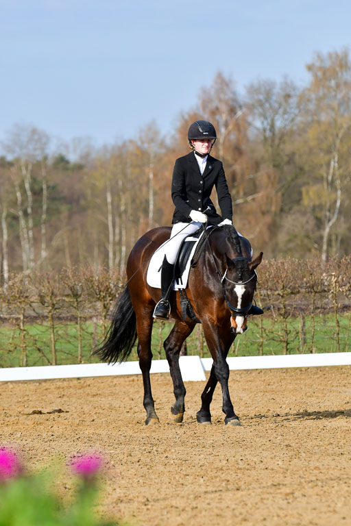 Reitsportzentrum Bremervörde | 10421 Dressur L Tr_064 