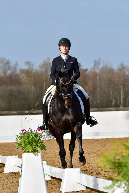 Reitsportzentrum Bremervörde | 10421 Dressur L Tr_068 