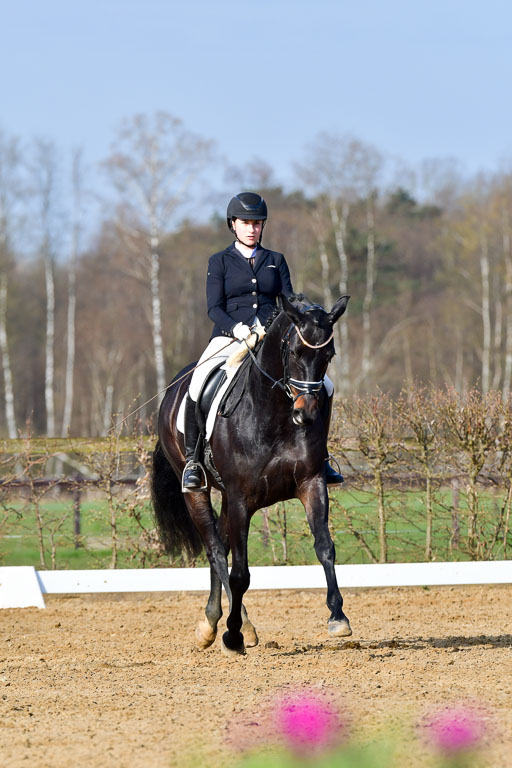 Reitsportzentrum Bremervörde | 10421 Dressur L Tr_070 