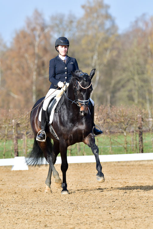 Reitsportzentrum Bremervörde | 10421 Dressur L Tr_071 