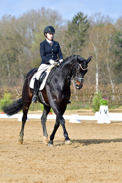 Reitsportzentrum Bremervörde | 10421 Dressur L Tr_073 