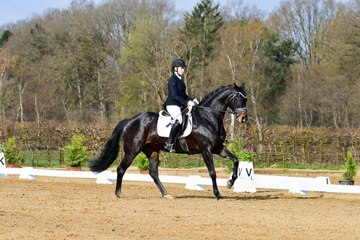 Reitsportzentrum Bremervörde | 10421 Dressur L Tr_078 