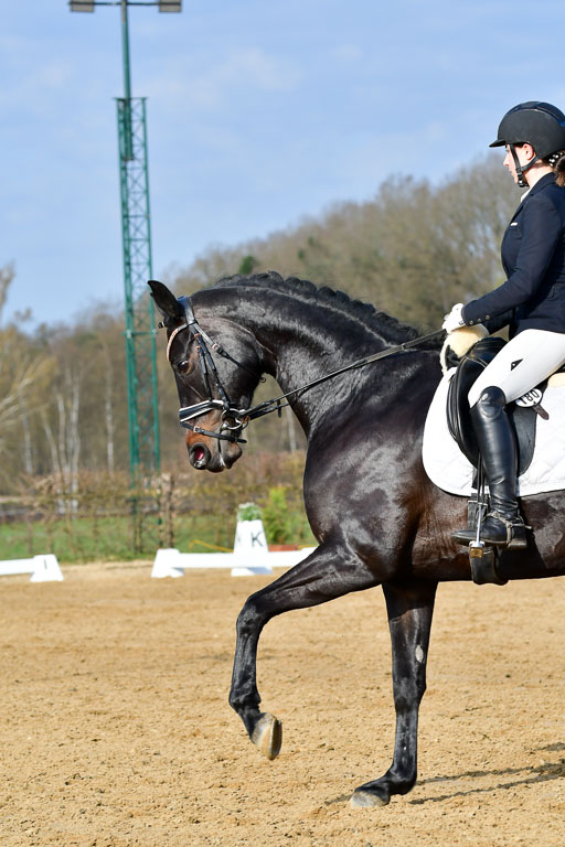 Reitsportzentrum Bremervörde | 10421 Dressur L Tr_079 