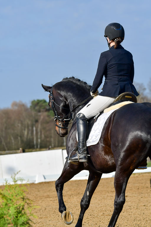 Reitsportzentrum Bremervörde | 10421 Dressur L Tr_080 