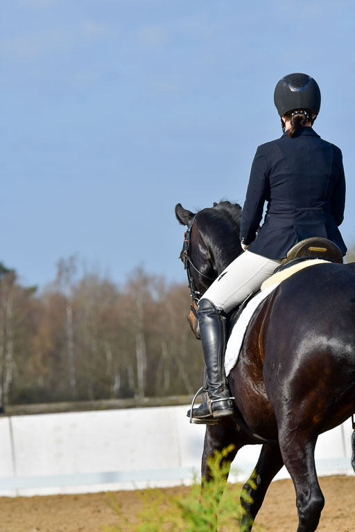 Reitsportzentrum Bremervörde | 10421 Dressur L Tr_081 